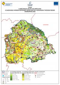 TICAD A specifikus célok területei: a gazdasági versenyképesség növelése és a ga