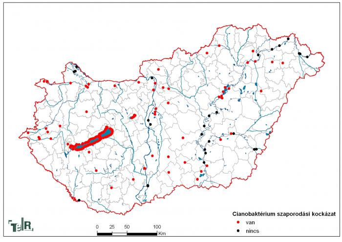 Fürdővizek cianobaktérium szaporodási kockázata a 2010. évben