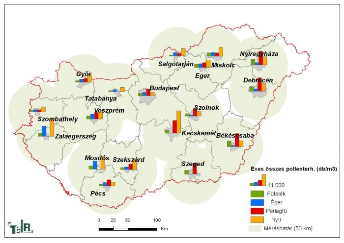 Allergén növények éves összes pollenterhelése 2010-ben