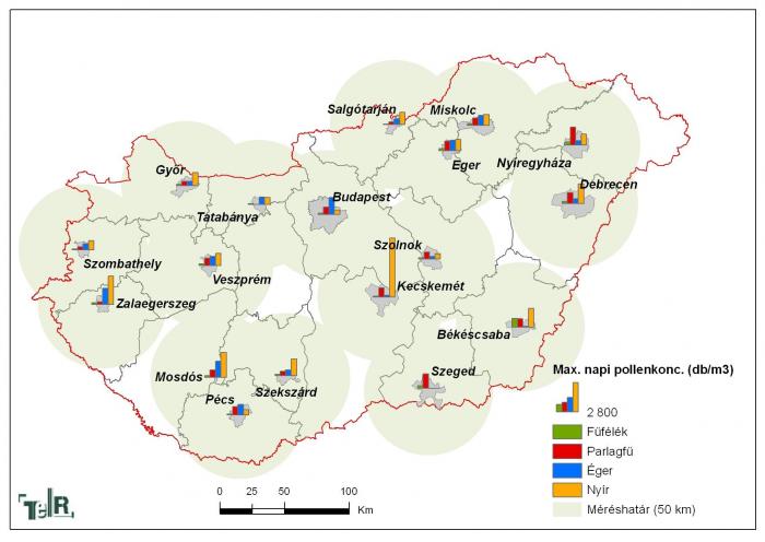 Allergén növények maximális napi pollenkoncentrációja 2010-ben