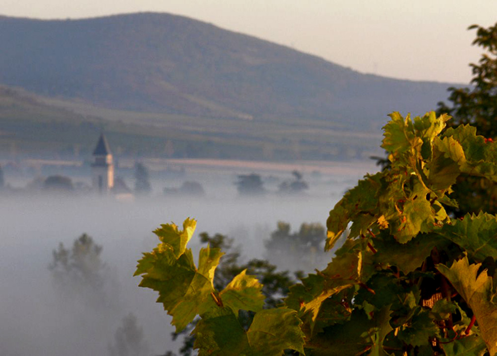 Tokaj (forrás: umvp.eu)