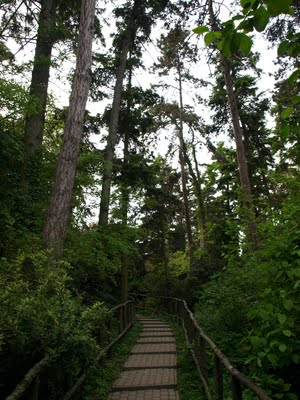 Szarvasi Arborétum (forrás: magyarbarangolo.blogspot.hu)