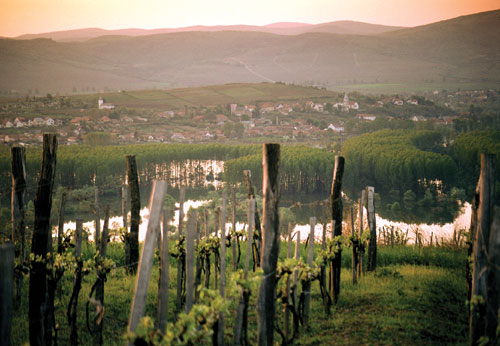 Tokaj-hegyaljai borvidék